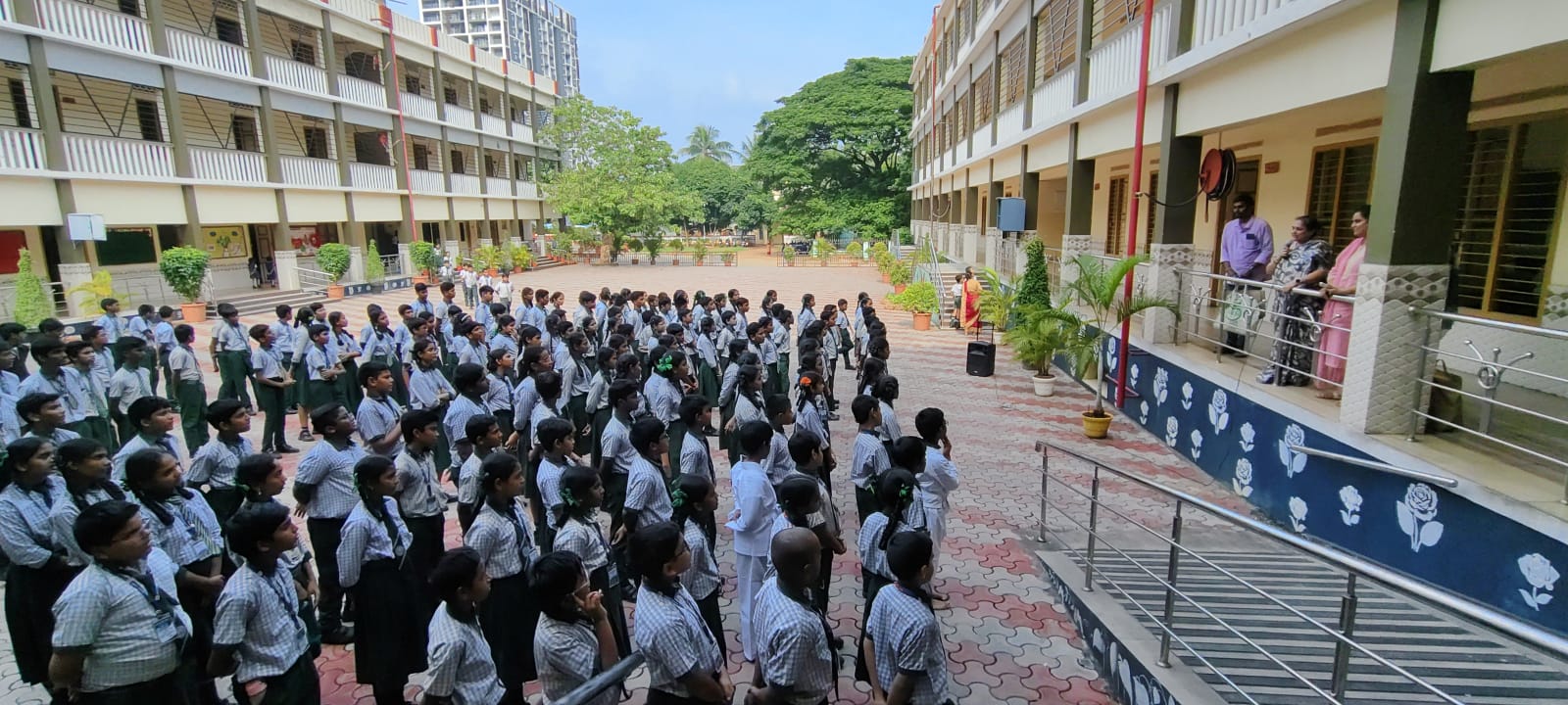 Saplings distribution